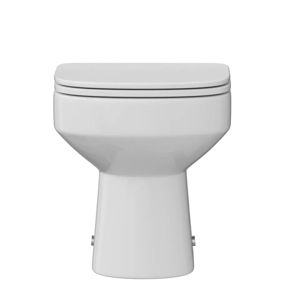 Lorraine Rimless Back To Wall Toilet & Soft Close Seat