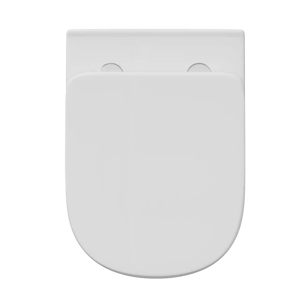 Lorraine Rimless Back To Wall Toilet & Soft Close Seat