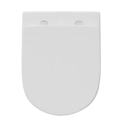 Lydia Rimless Back to Wall Toilet & Soft Close Seat