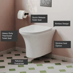 Lydia Rimless Wall Hung Toilet & Soft Close Seat