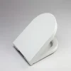 RAK Quick Release Soft Close Toilet Seat for Rimless Pans