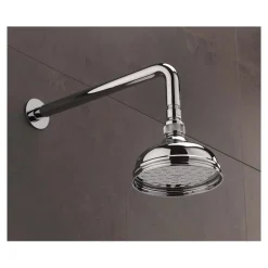 Sagittarius Chelsea 130mm Shower Head & Arm
