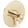 Sagittarius Churchmans 1 Outlet Concealed Thermostatic Shower Valve- Gold