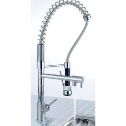 Sagittarius Ergo Professional Kitchen Mixer with Pull Out Spray