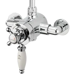 Sagittarius Fantasy Exposed Thermostatic Shower Valve