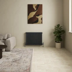 Toasty Ardleigh Anthracite Horizontal Column Radiator