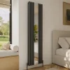 Toasty Echo Anthracite Grey Oval Double Panel Vertical Mirror Radiator - 1800 x 500mm