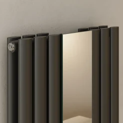 Toasty Echo Anthracite Grey Oval Double Panel Vertical Mirror Radiator - 1800 x 500mm