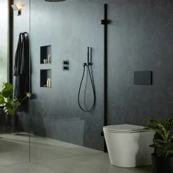 Vado Safari Round Back to Wall Toilet & Soft Close Slimline Seat