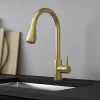 Vellamo Inspire Pull Out Spray Mono Kitchen Mixer Tap - Brushed Brass