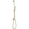 VOS Slide Rail Shower Kit with Shower Handset & Hose - Brushed Brass